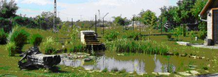 phoca thumb l KisToVizesessel