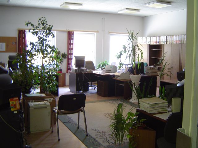 babolna_irodafoto_copy.jpg babolna_irodafoto_copy.jpg