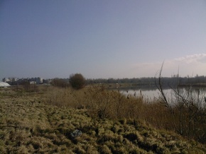 marcalto2_1.jpg marcalto2_1.jpg