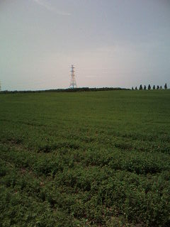photo-0016.jpg